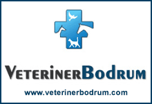 VeterinerBodrum.com